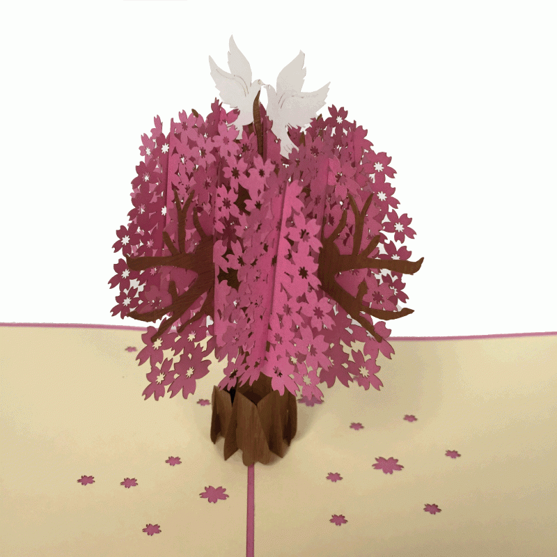 pop-up paradijs boom kaart